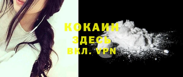 ALPHA PVP Гусев
