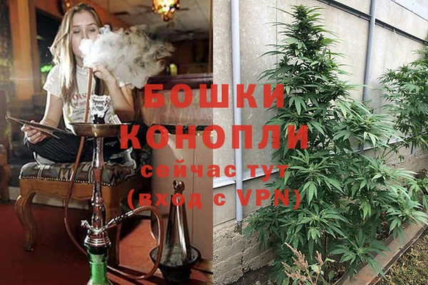спайс Гусь-Хрустальный