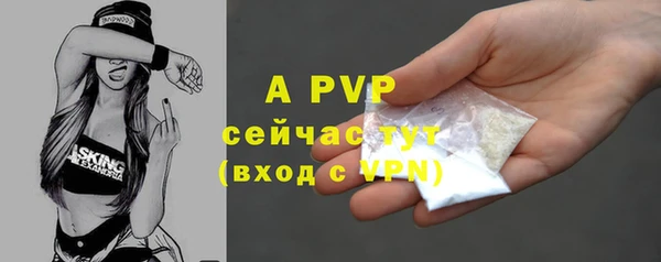 спайс Гусь-Хрустальный