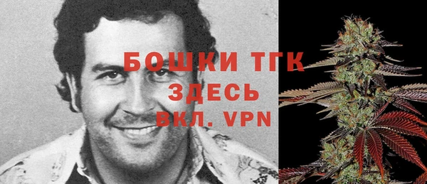 ALPHA PVP Гусев