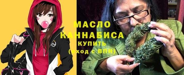 спайс Гусь-Хрустальный