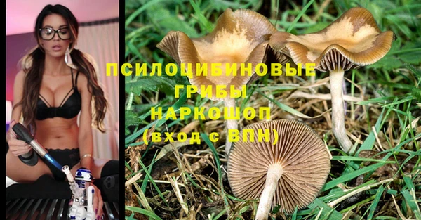 ALPHA PVP Гусев