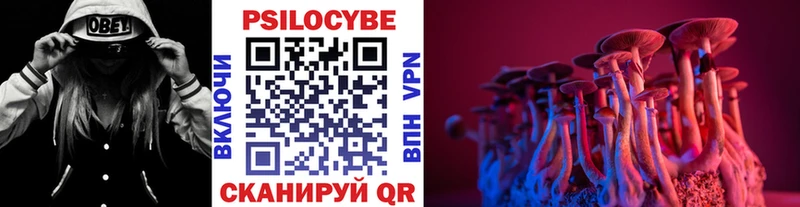 Галлюциногенные грибы мухоморы  где найти   Омутнинск 